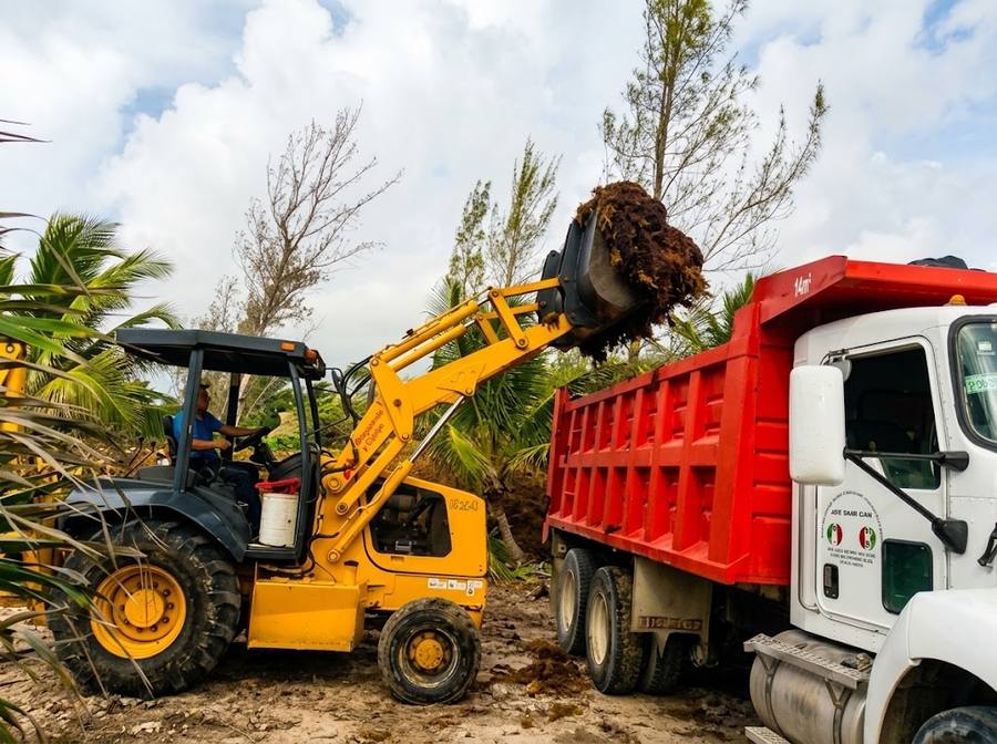 Cuadrilla dando mantenimiento diario a la playa