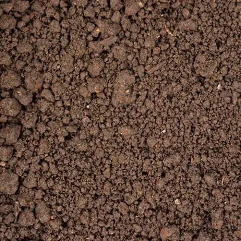 Tierra Negra
