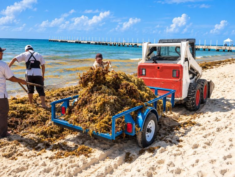 Recorrido de diagnóstico en playa