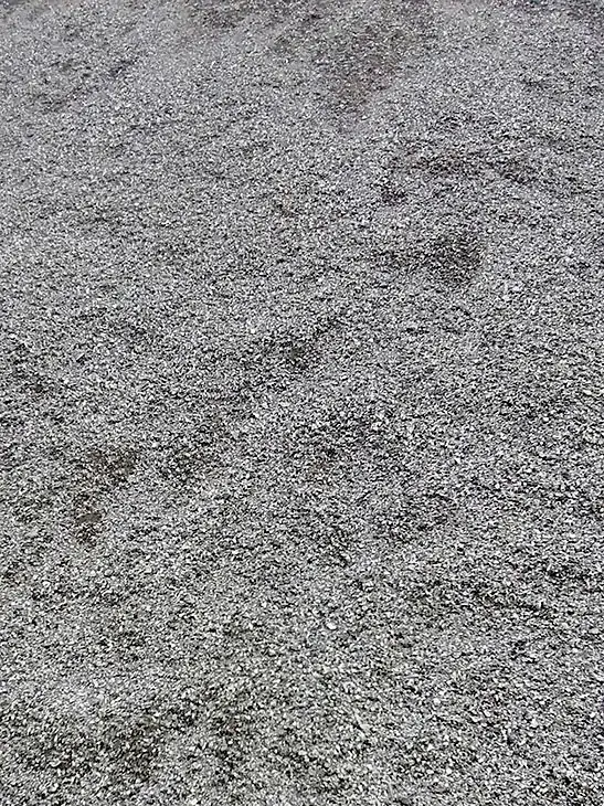 Polvo